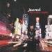 Manhattan Nights